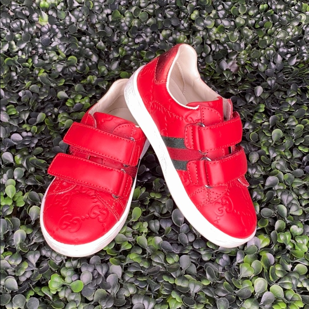 Toddler Gucci Sneakers
